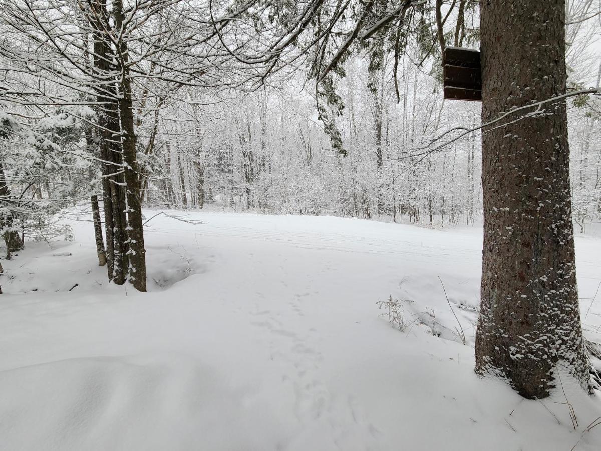Ski In/Out Spruce Glen Townhomes On Great Eastern Trail Киллингтон Экстерьер фото