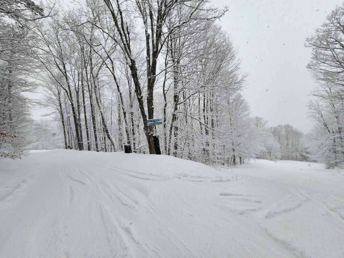 Ski In/Out Spruce Glen Townhomes On Great Eastern Trail Киллингтон Экстерьер фото